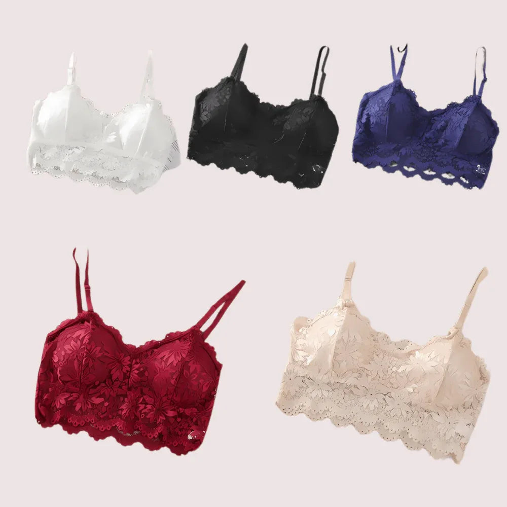 2 pack luxury lace padded bralette Veloura Intimate