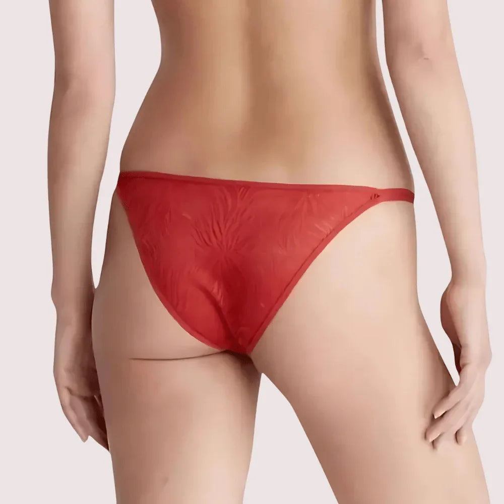 Exclusive French Daina Lace Tanga Panties Luxury Gift Box Veloura Intimate